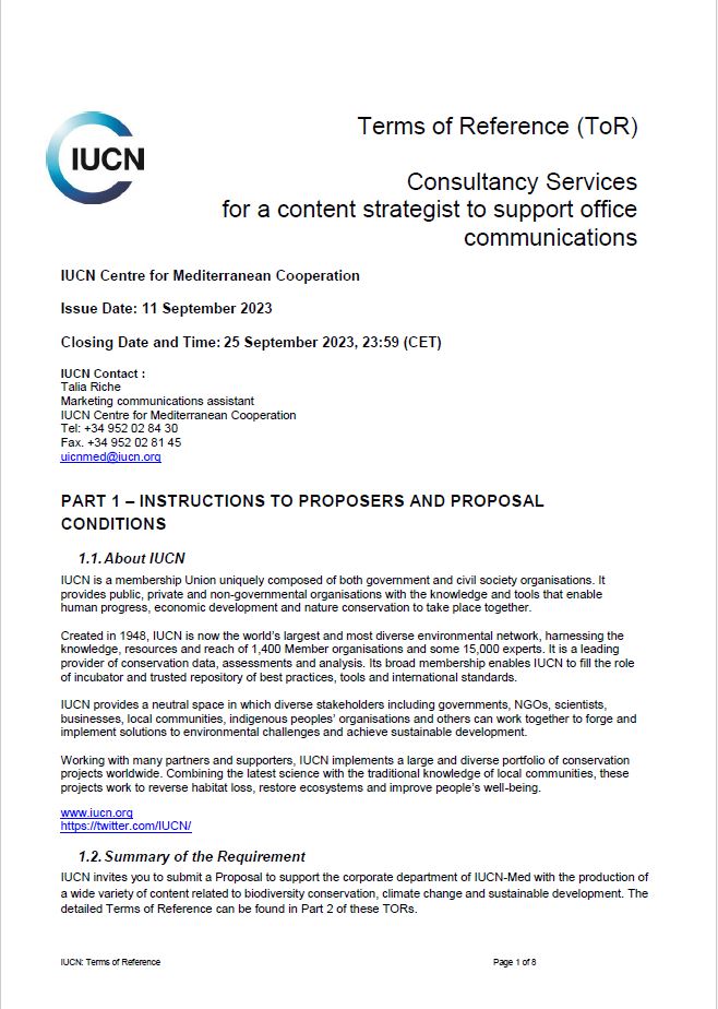 TOR content strategist consultancy cover