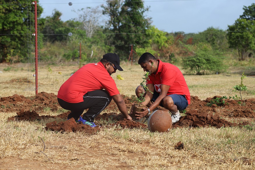 HSBC staff engaged in replanting activities