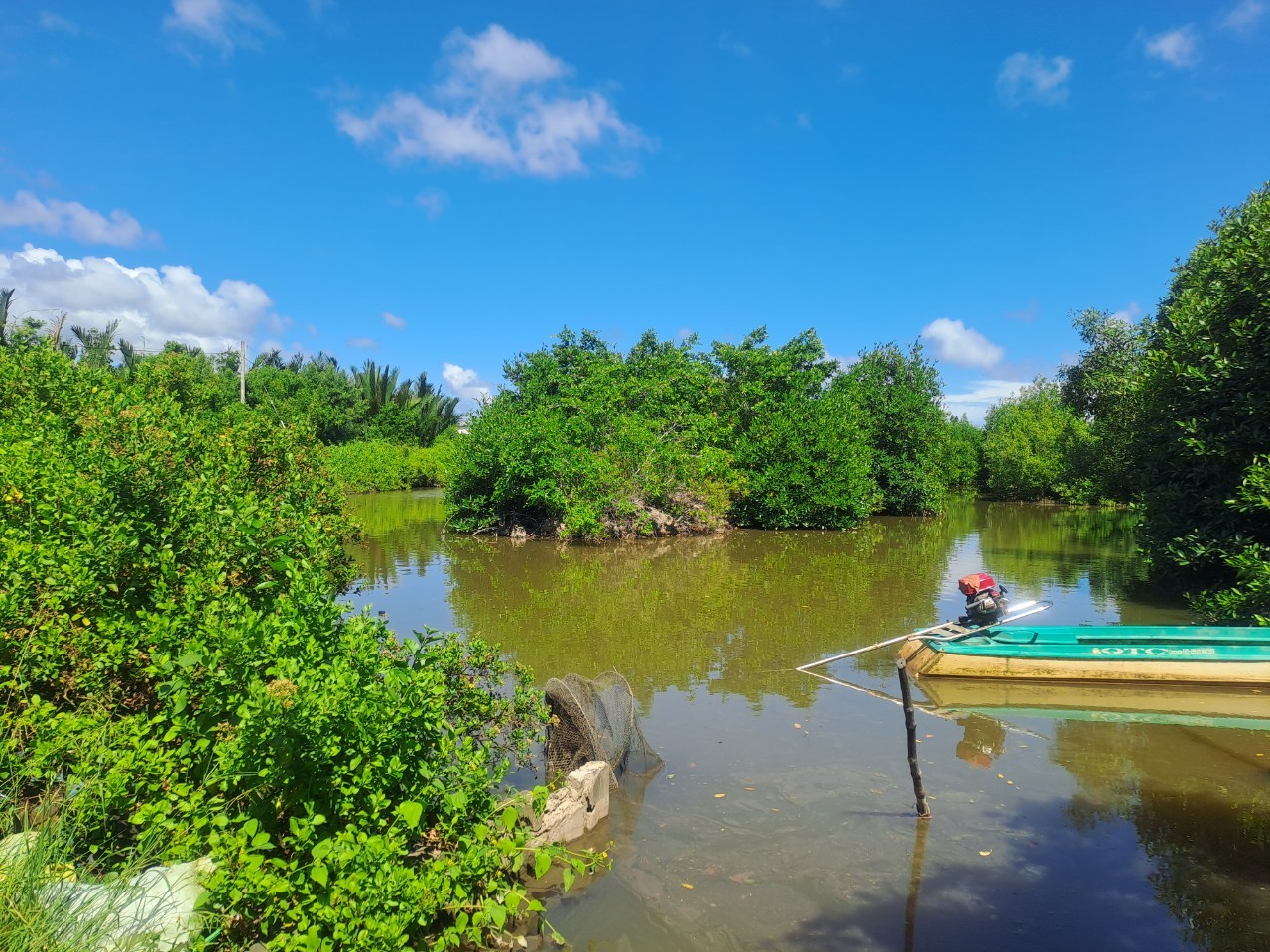An integrated mangrove-shrimp farming in Nam Can District, Ca Mau Province