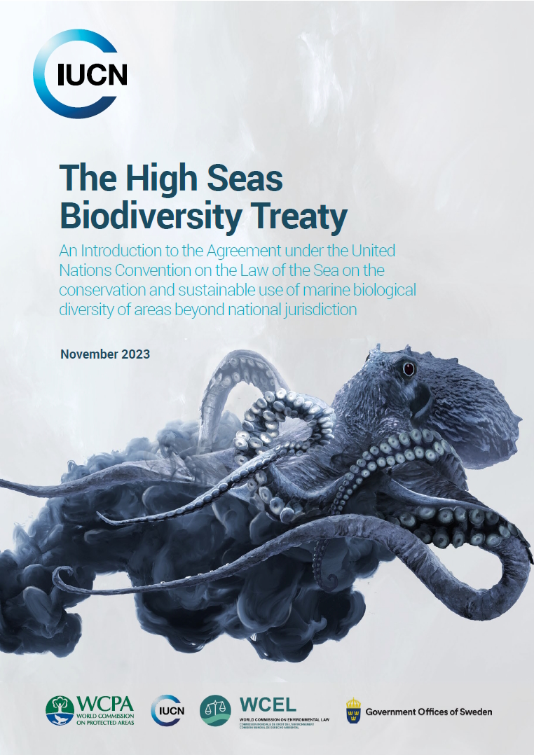 Cover image of IUCN BBNJ Treaty Policy Brief