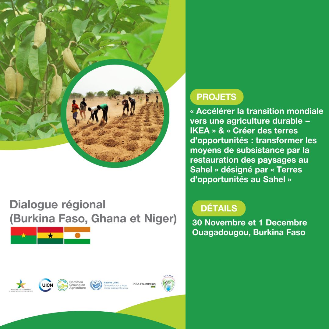 West Africa regional dialogue to build consensus towards sustainable agriculture 