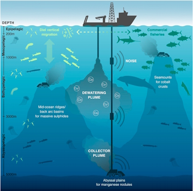 marine pollution effects essay