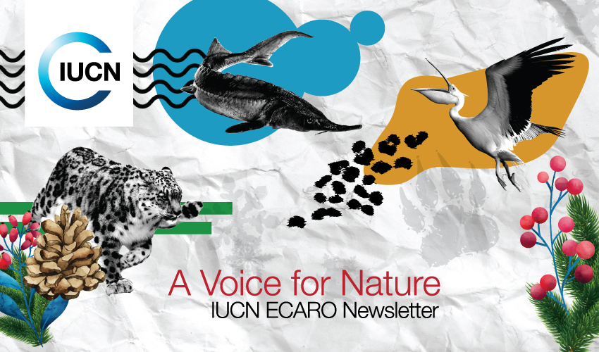 A Voice For Nature, IUCN ECARO Newsletter banner