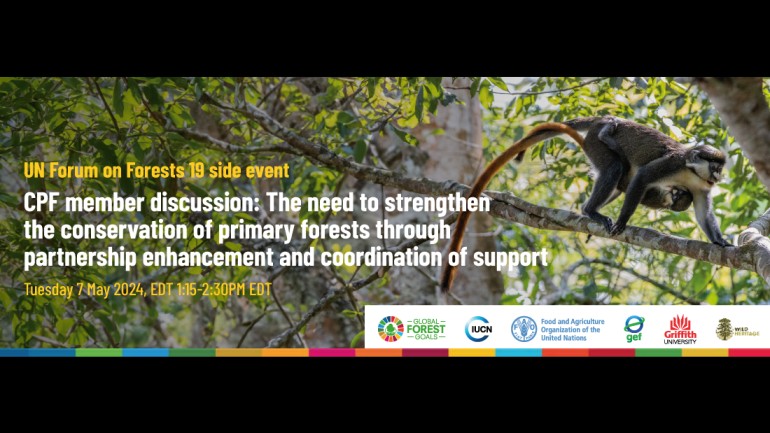 Primary Forests Side event