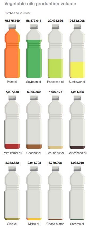 Vegetable oils infographic