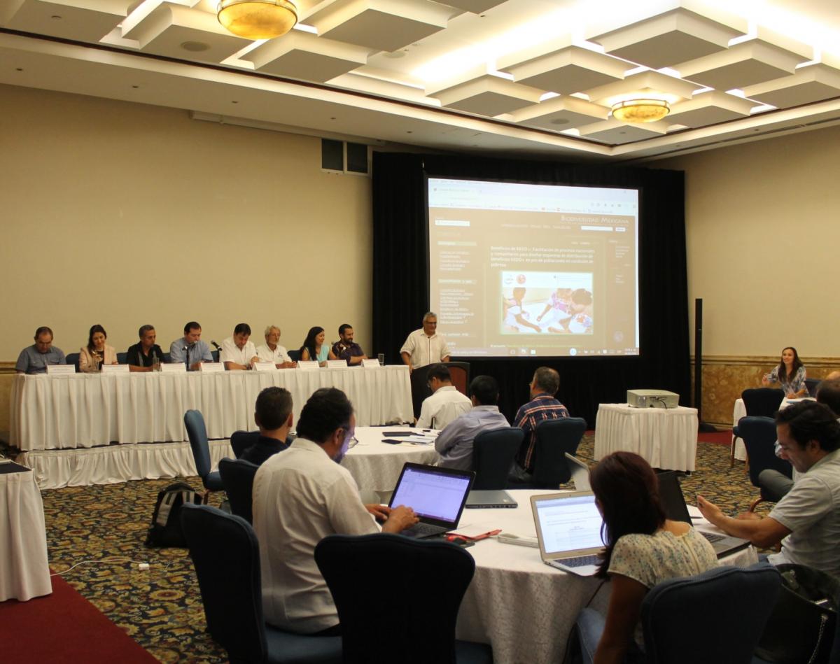 Panel con intervenciones de CONAFOR, SEMARNATCAM, SEDUMA, SEMA, CONABIO y la Junta Intermunicipal Biocultural del Puuc (JIBIOPUUC).