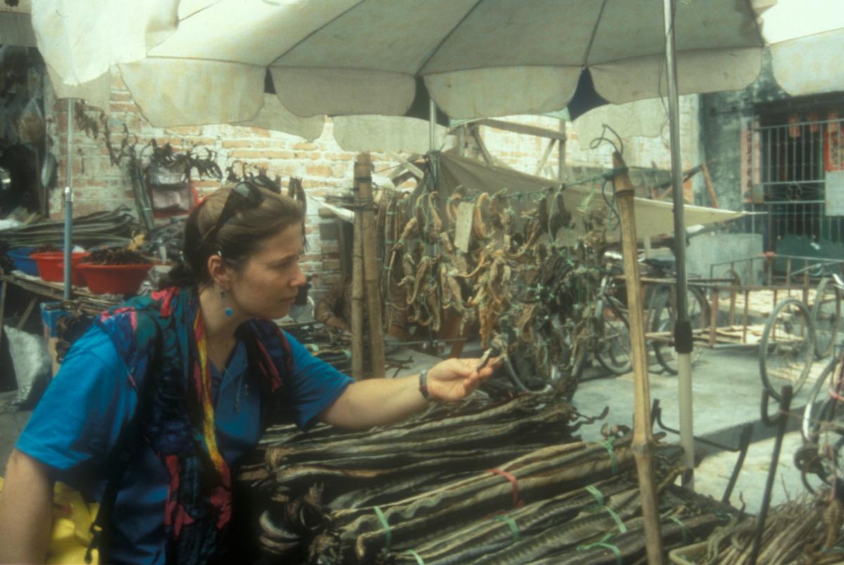 Amanda Vincent discovering the extent of the seahorse trade 20 years ago in Behai, China. 