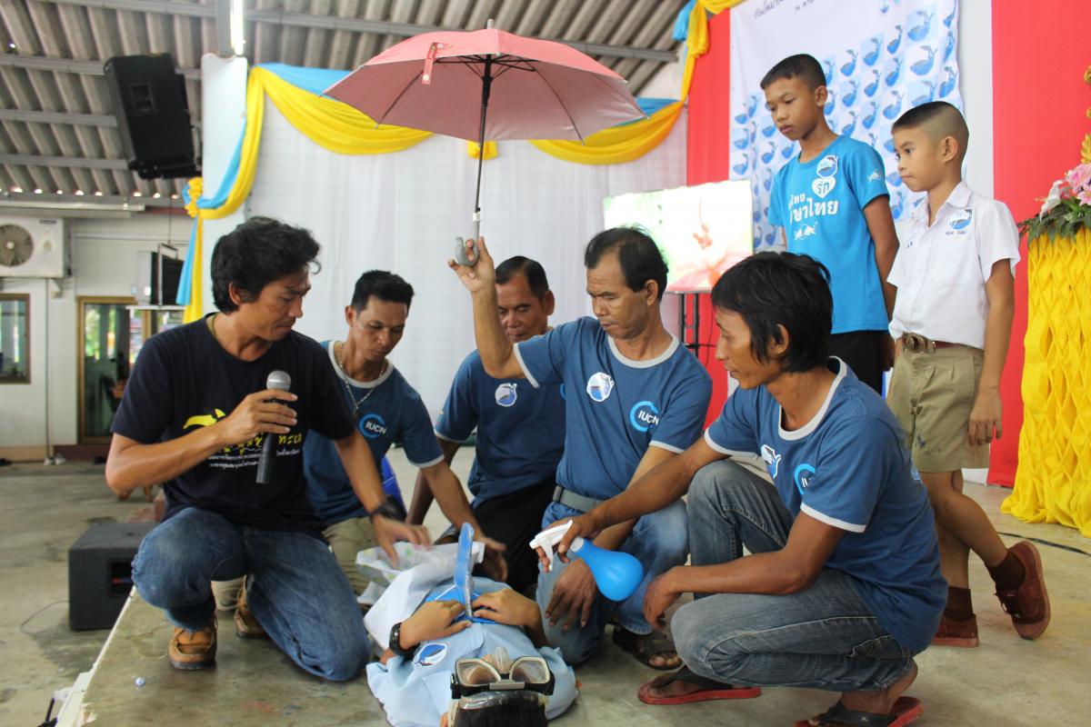Dolphin rescue demonstration for school children in Trat Province 