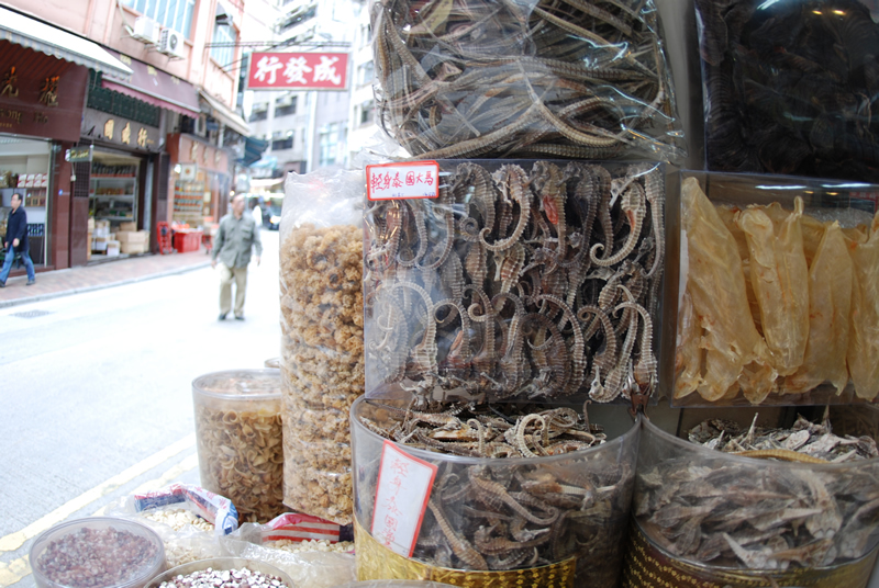 Dried seahorses for sale in Hong Kong