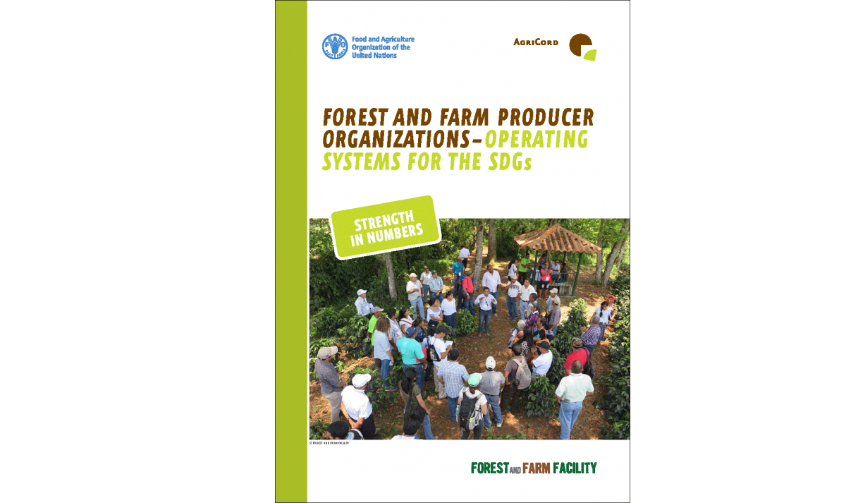 Cover of Forest and Farm Producer Organisations - Operating Systems for the SDGs