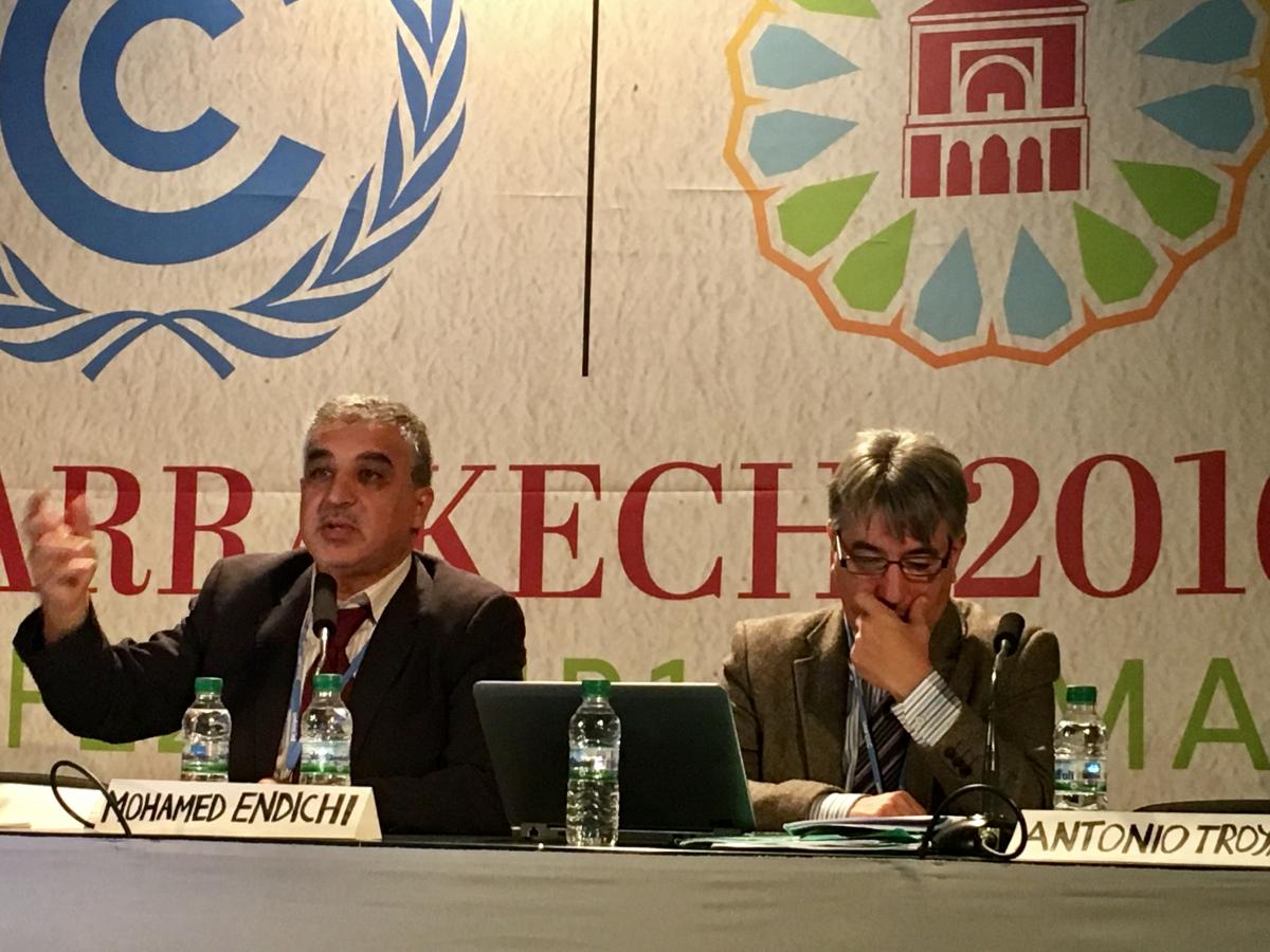 COP22 side event