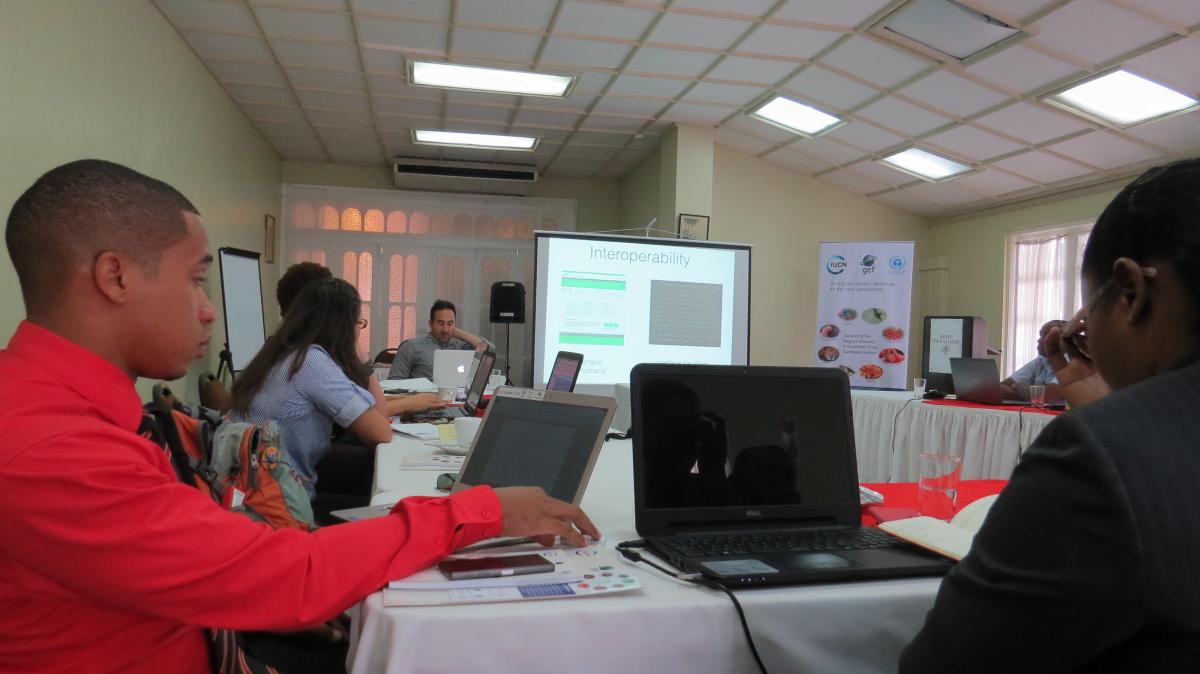 The workshop held in Jamaica was one of the activities held by the project Advancing the Nagoya Protocol in Countries of the Caribbean Region.