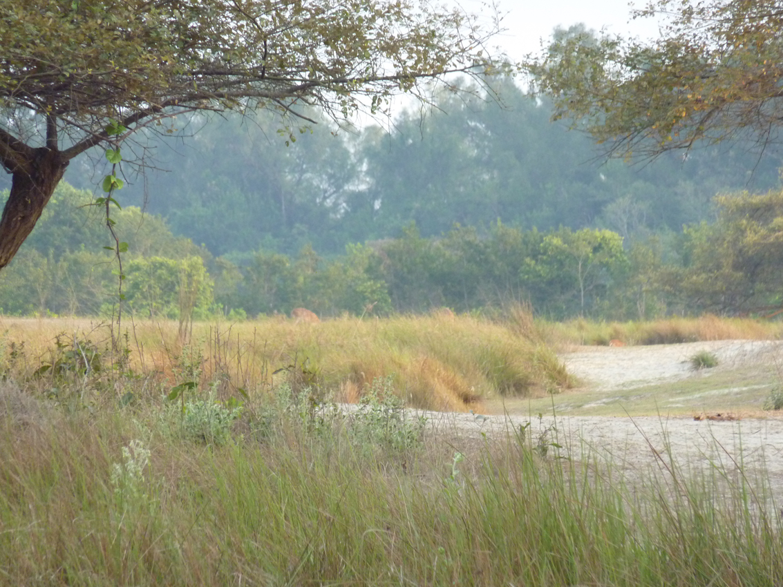 The Sundarbans, Bangladesh, World Heritage site
