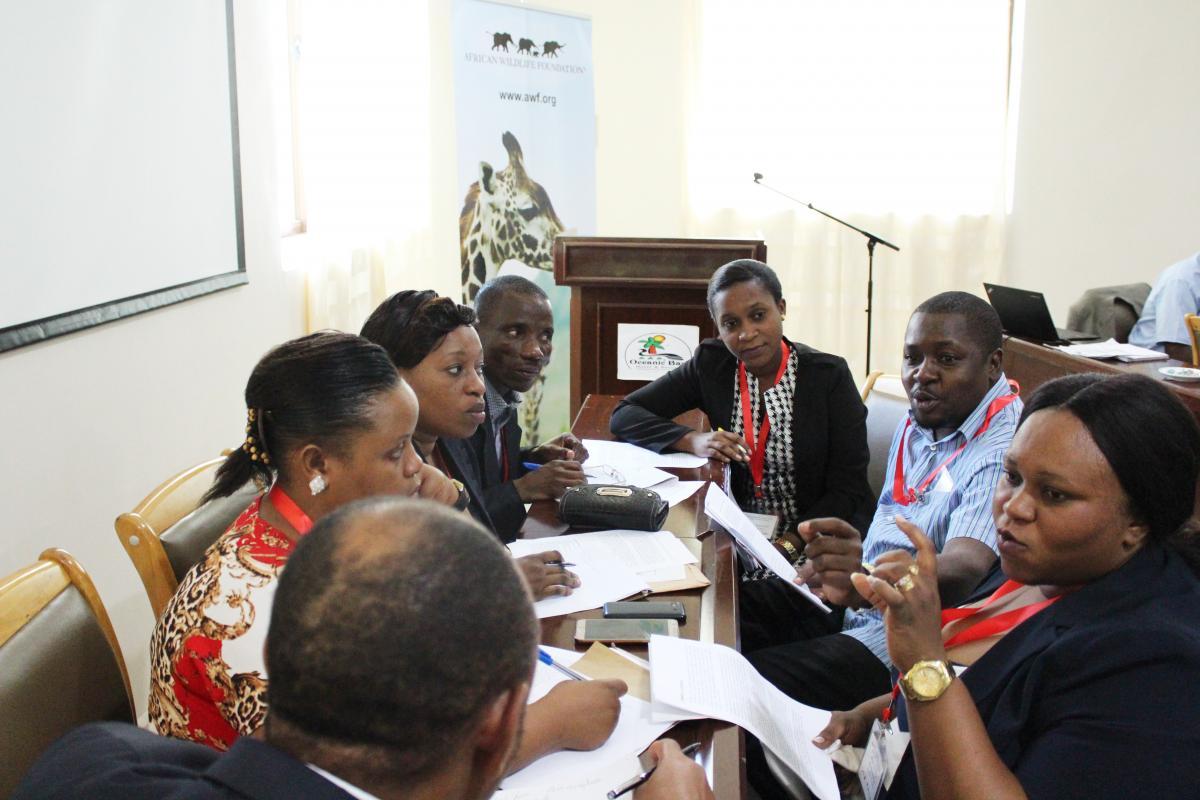 Wildlife crime judiciary training in Tanzania - workshop participants