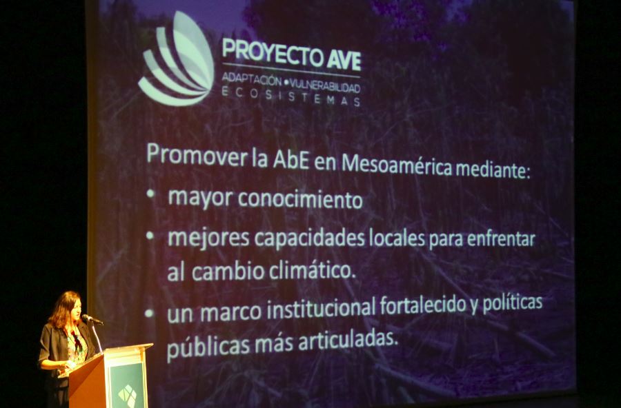 Presentacion Ave