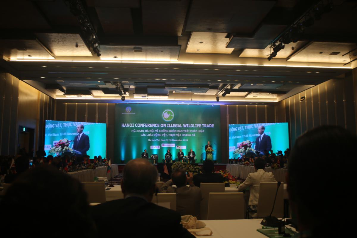 Prince William addresses participants at the Hanoi Conference on Illegal Wildlife Trade