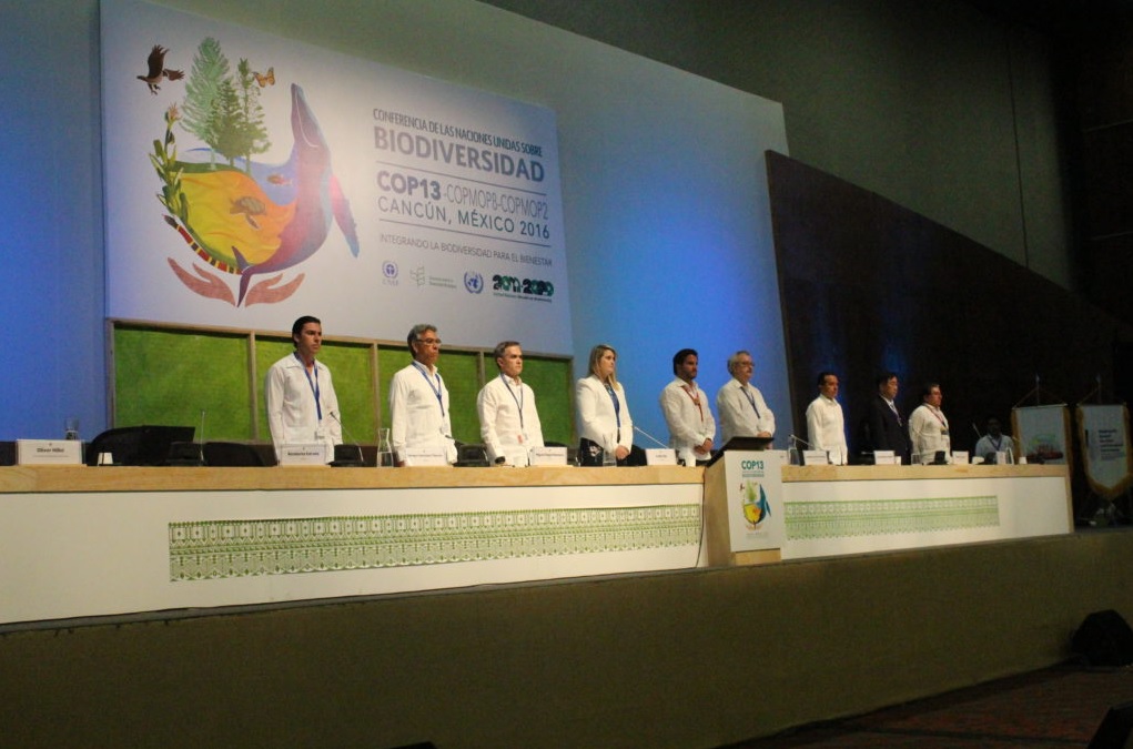 5th Global Biodiversity Summit for Cities and Subnational Governments