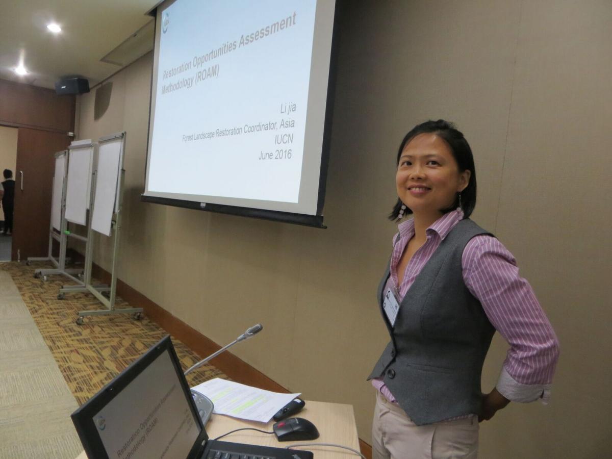 Li Jia, from IUCN Asia leads a session at the workshop 