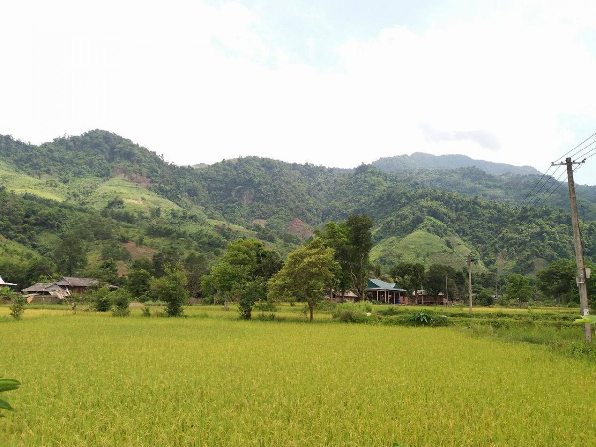 Forest landscape in Dakrong District, Quang Tri Province 
