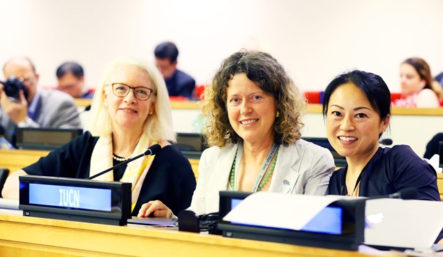 IUCN delegation: Kristina Gjerde, GMPP/WCPA; Cymie Payne, WCEL;  and Hiroko Muraki Gottlieb, IUCN Permanent Mission/GMPP