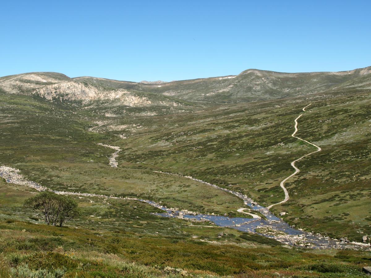 Alpine Area KNP, featuring the Lakes Walk and the headwaters of the Snowy Rive, Kosciuszko National Park, Australia