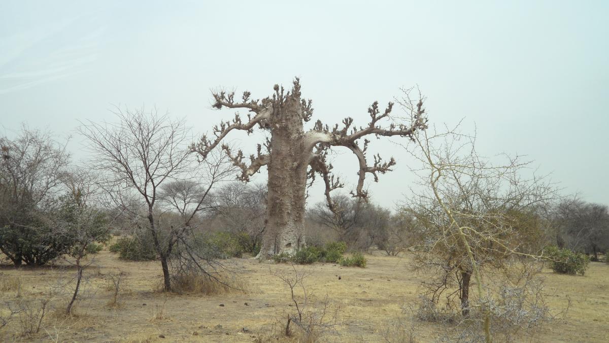 Barsalogho, Burkina Faso 