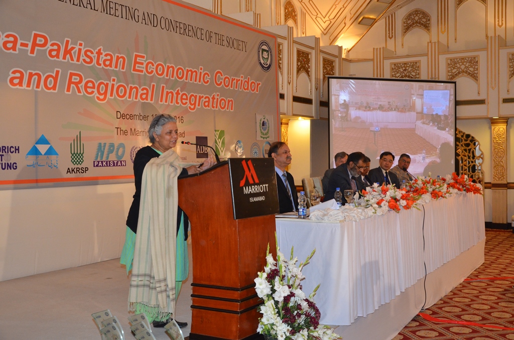 Panel discussion on Mainstreaming Environment in China Pakistan Economic Corridor (CPEC)