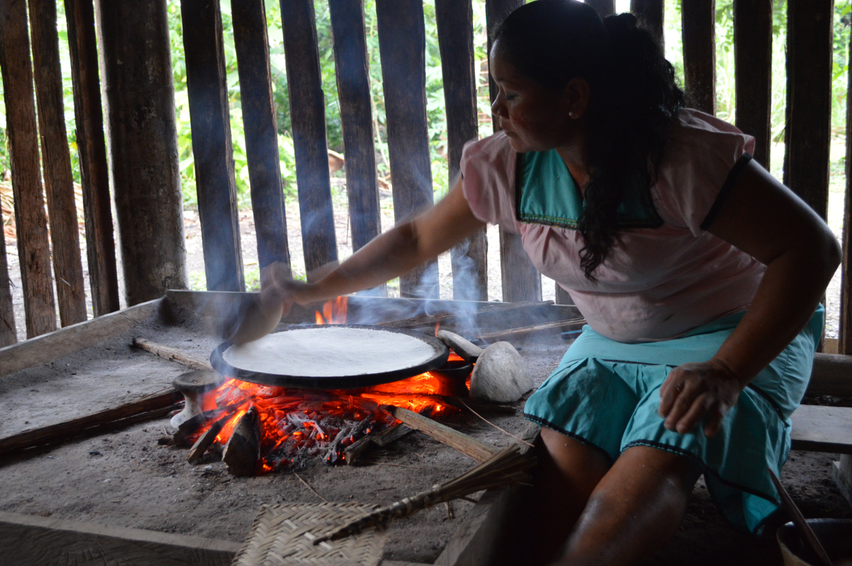 Preparación del casabe, comunidad Siona, Ecuador