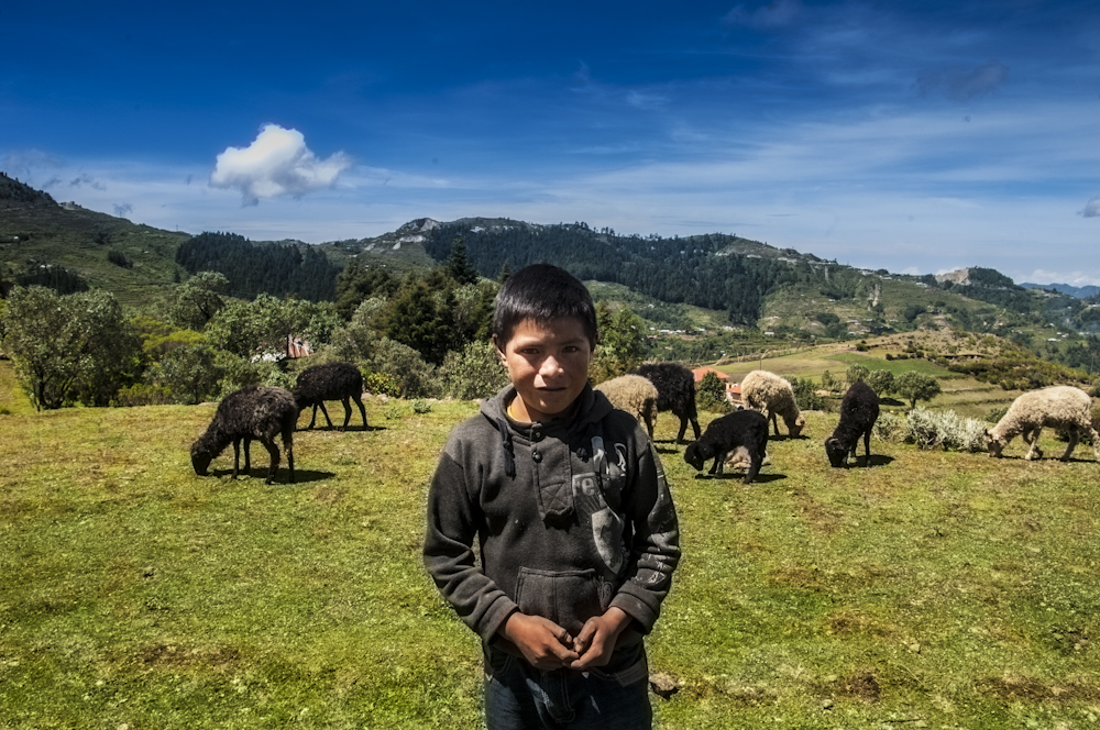 boy in foreground with sheep and hills behind, blue sky