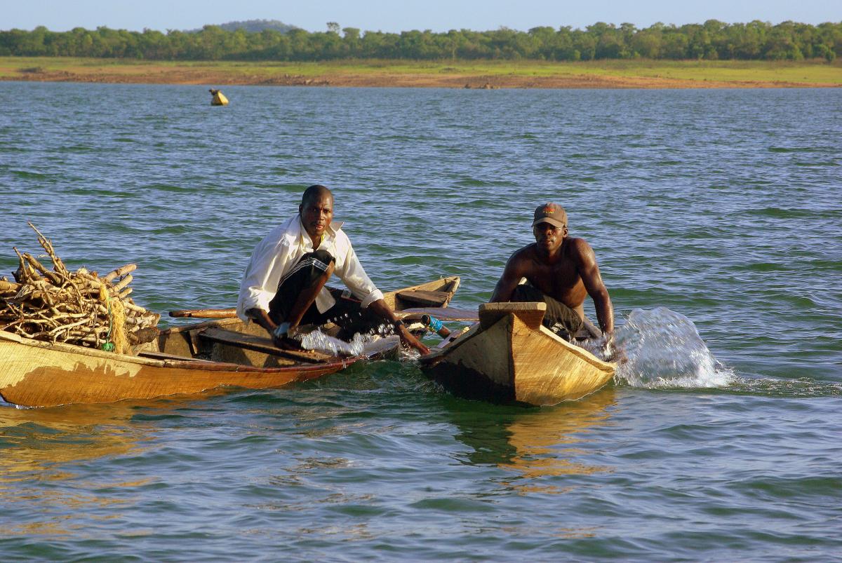 Drag net fishers return with their catch and a load of firewood, Kainji Lake, NW Nigeria