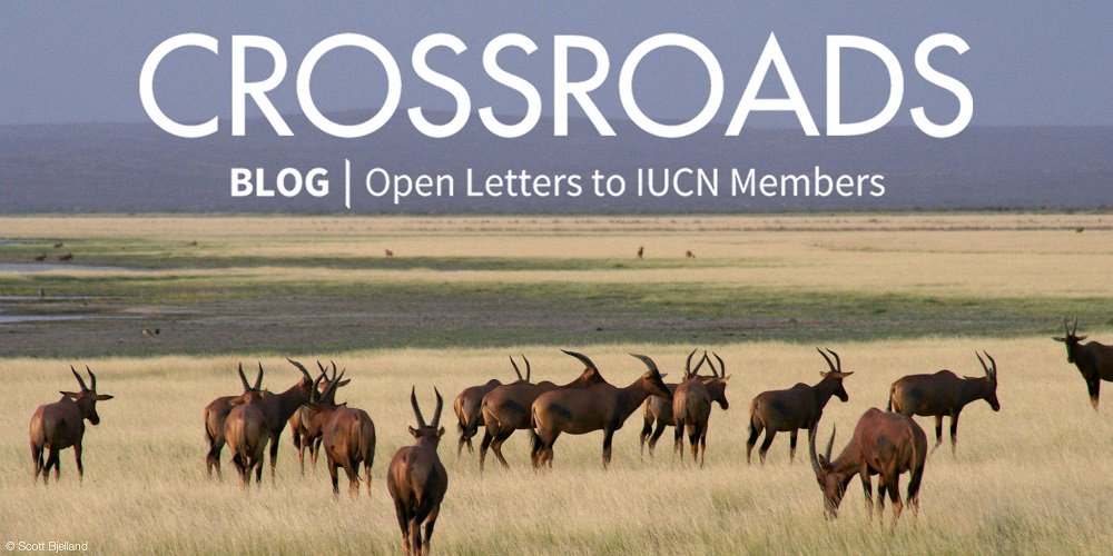 Crossroads, The IUCN Blog – Open Letters to IUCN Members