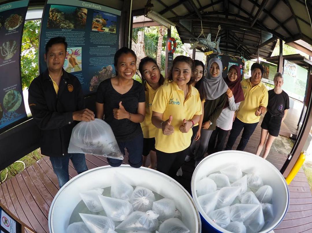 DMCR/PMBC team at the Phuket Aquarium, who raised these 35 bamboo sharks for over a year before we released them