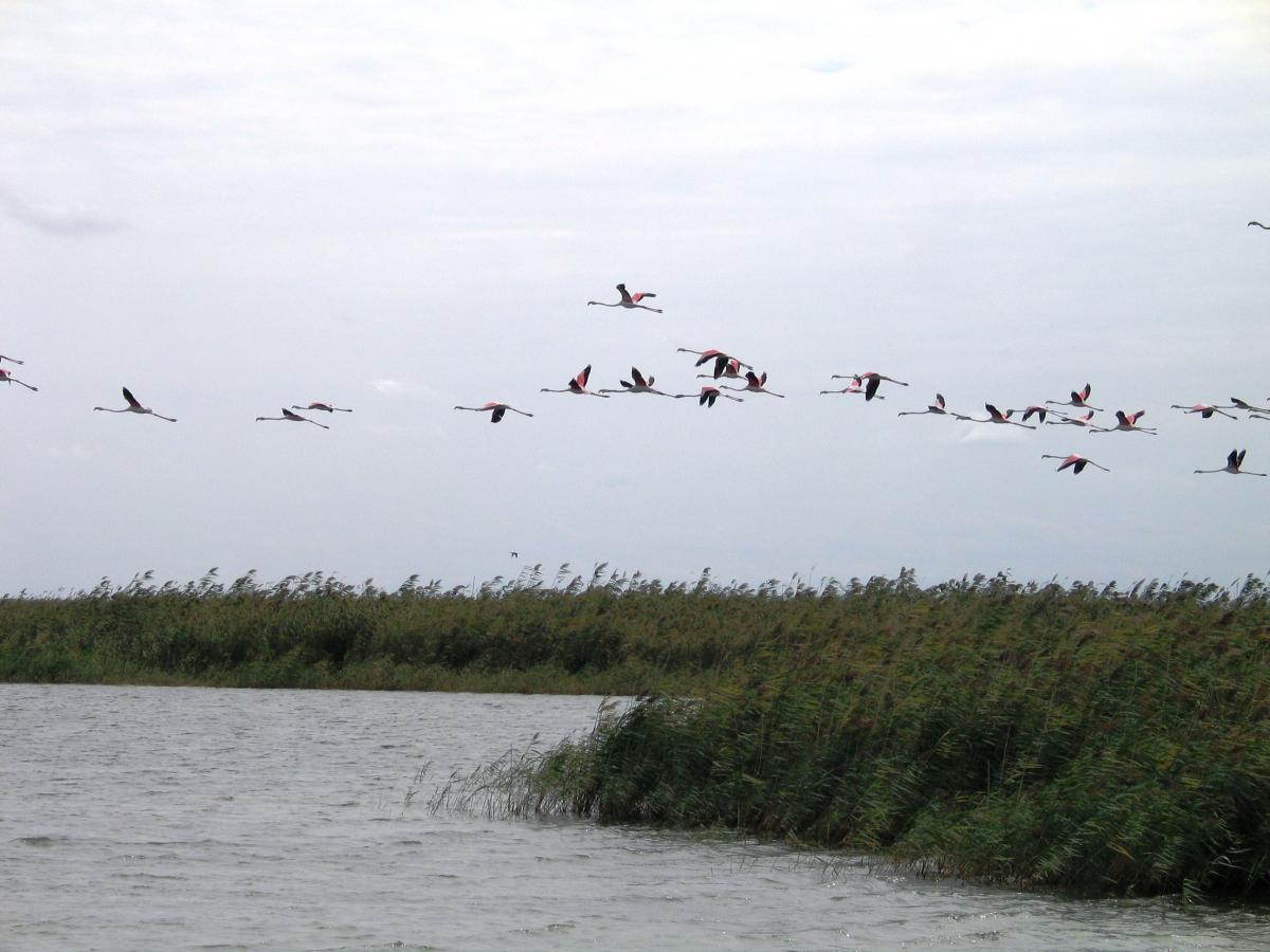 Gizilaghaj was declared a wetland of international importance by the Ramsar Convention on Wetlands in 2001