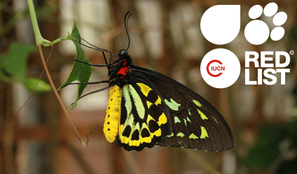 The IUCN Red List Website is now live