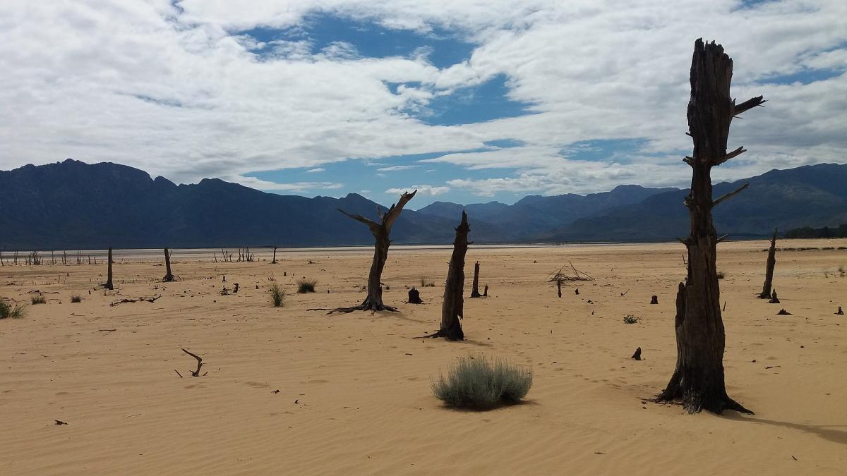 Theewaterskloof reservoir showing tree stumps and sand 