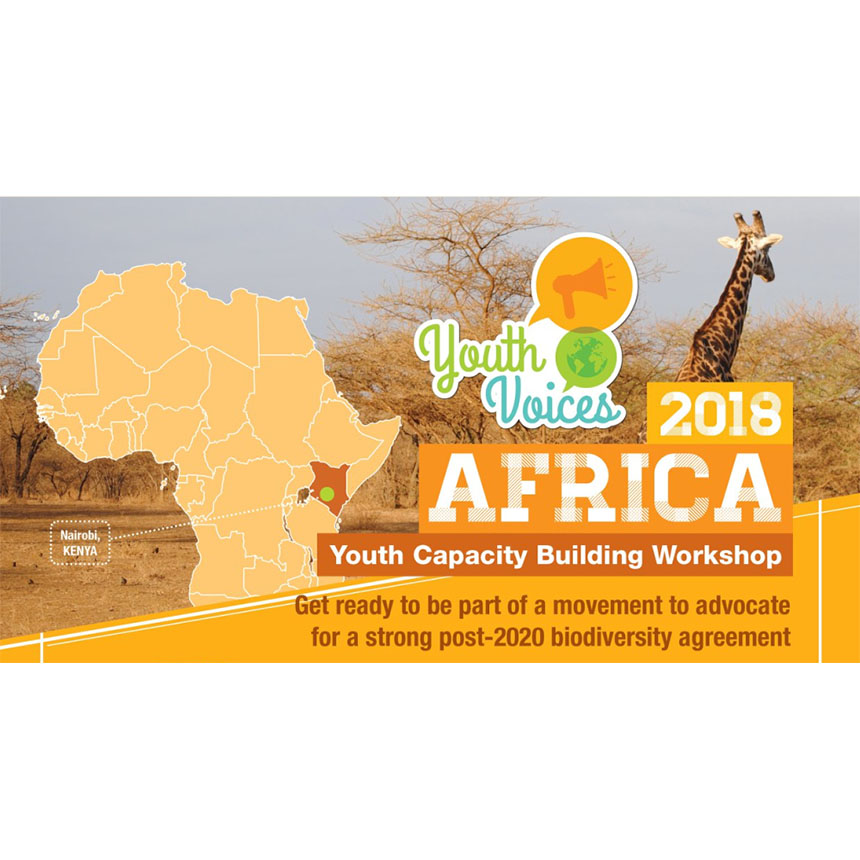 2018 GYBN Regional Youth Capacity Building Workshop for AFRICA