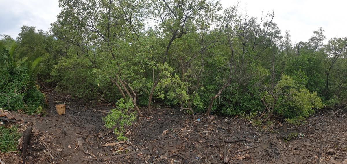View of one of the cleanup zones after collection
