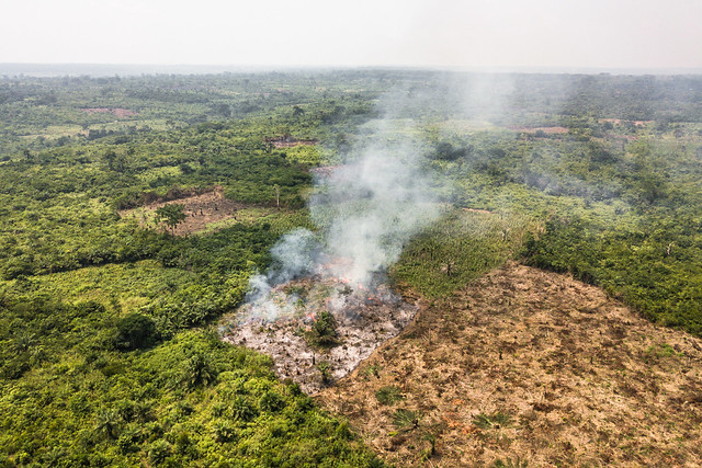 Burning fields near Yangambi, DRC