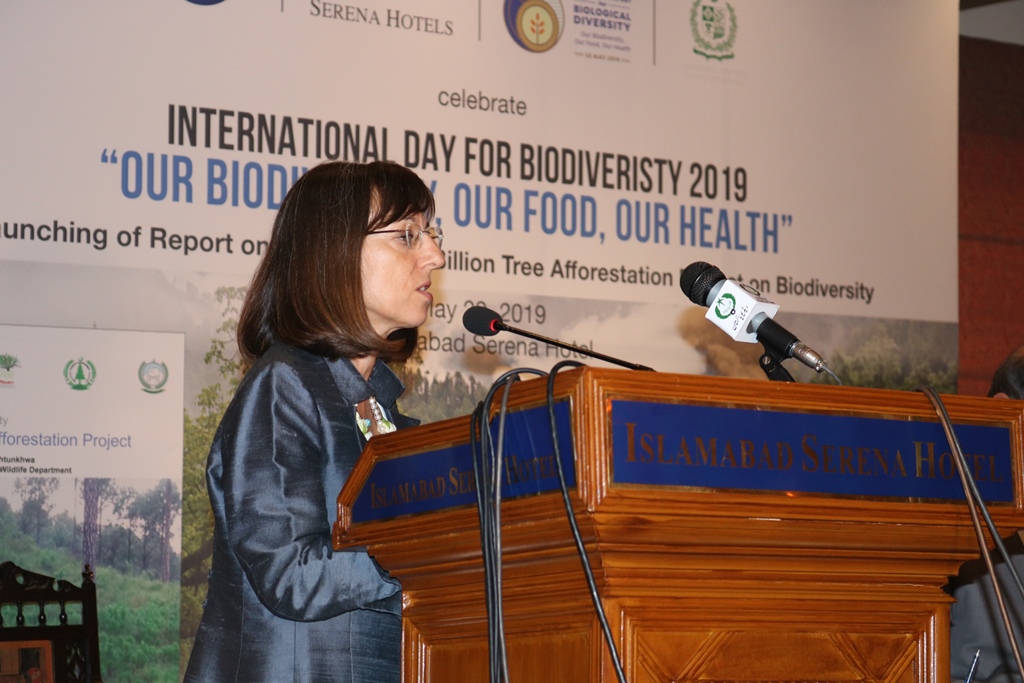 Ms. Mina Dowlatchahi, FAO Representative