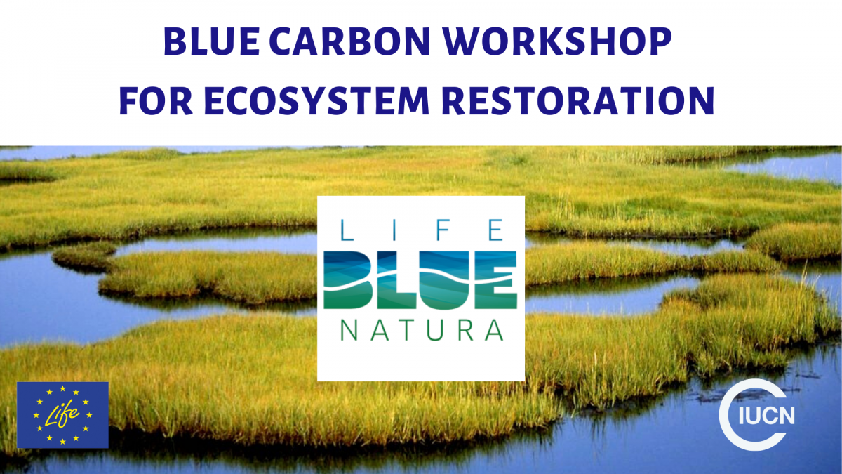 blue_carbon_workshop_for_ecosystem_restoration.