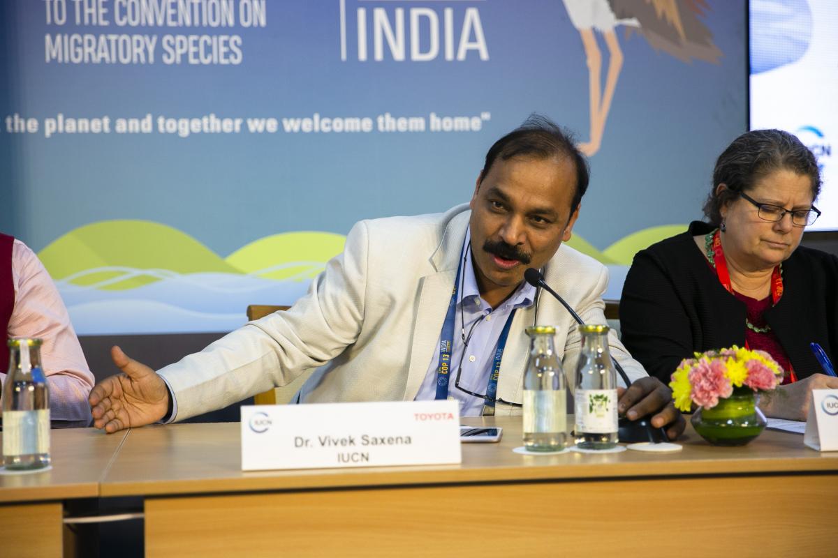 Dr Vivek Saxena, IUCN India Country Representative, at CMS COP 13