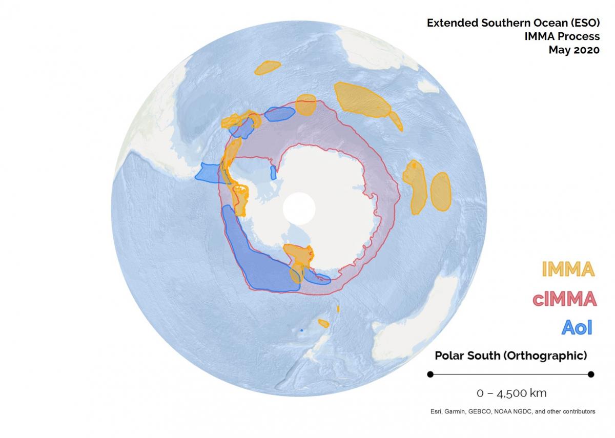 IMMA and CIMMA, Antarctica and Southern Ocean