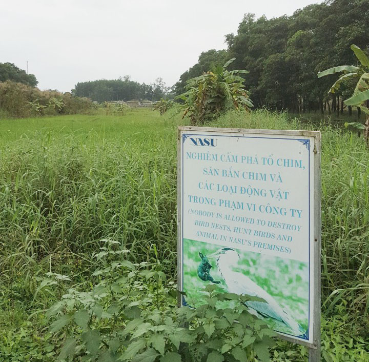 Grassland areas in Nghe An Sugar Company 