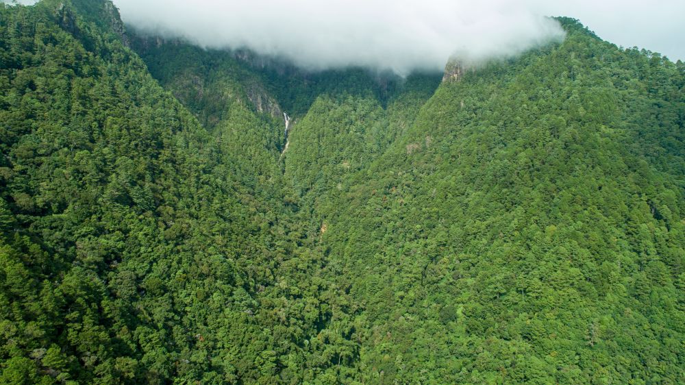 Parque Nacional Montaña de Celaque en Honduras