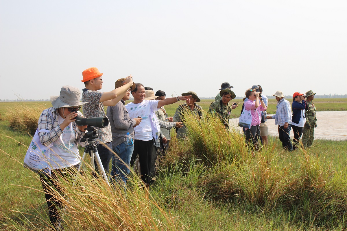 Participants observe Sarus Cranes at Ang Trapeang Thmor