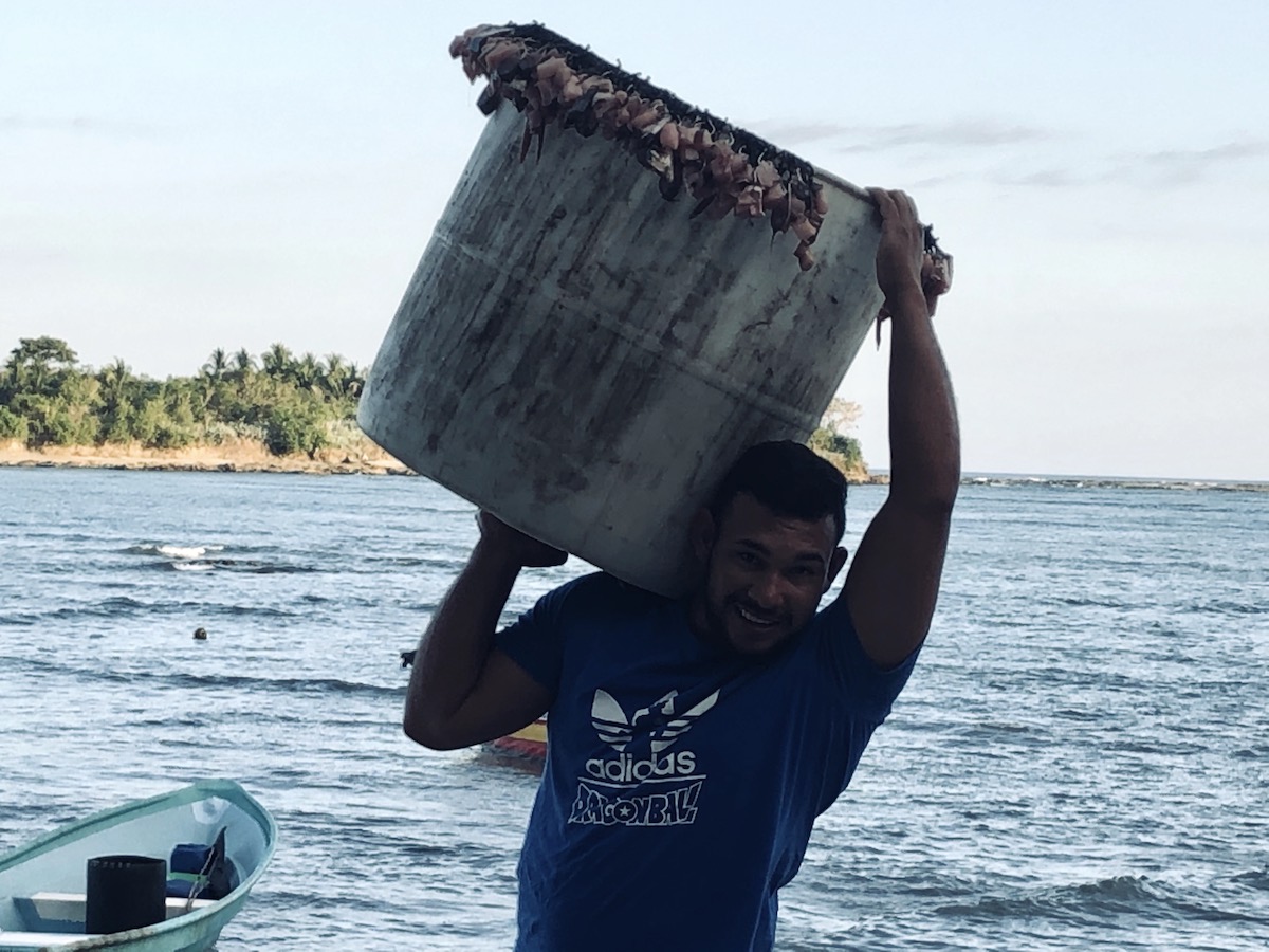Solidarity, empathy and hope of small-scale artisanal fishing communities in Costa Rica, vis-a-vis COVID - 19