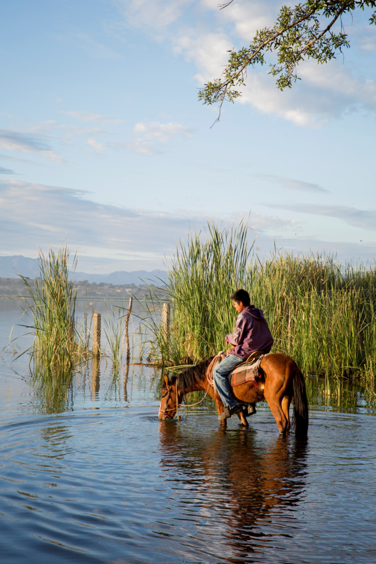 A boy waters his horse on the bank of Coatetelco Lake, Morelos, Mexico, 2014