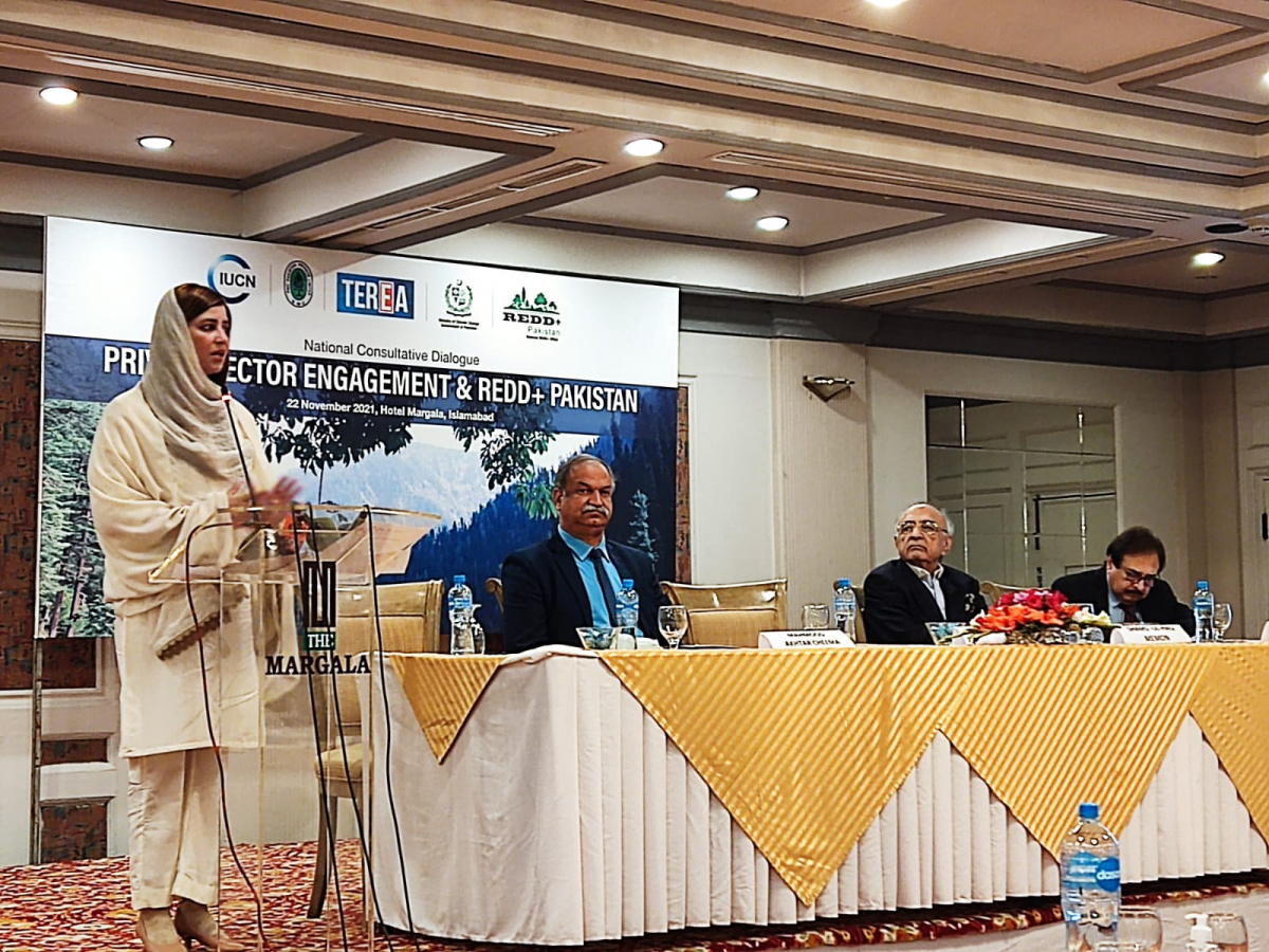 Ms. Zartaj Gul, Minister of State for Climate Change