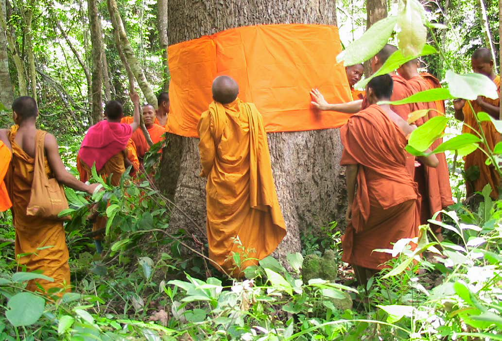 Buddhist monks from the Monks Community Forest (MCF) in Oddar Meanchay province, Cambodia