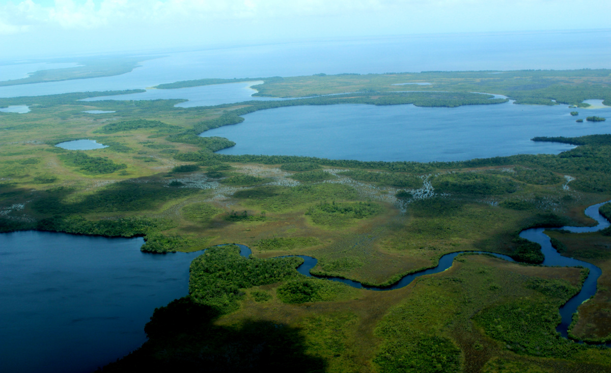 Humedales en la zona de infuencia de la laguna Karataska, Puerto Lempira, Honduras 